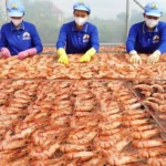 Những ngành học lấy điểm chuẩn suýt soát tuyệt đối
